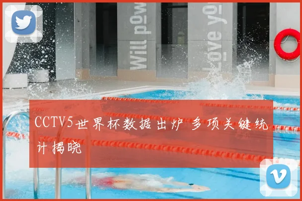 CCTV5世界杯数据出炉 多项关键统计揭晓