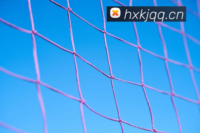 bsport官网全站App